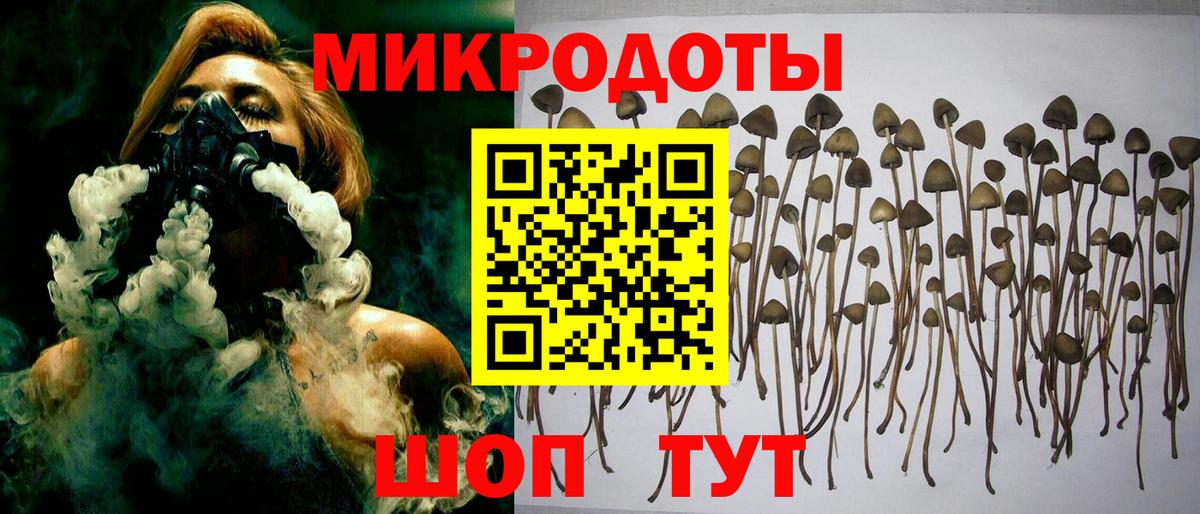 Балахна  Псилоцибиновые грибы Psilocybe  как найти   Вход с VPN 